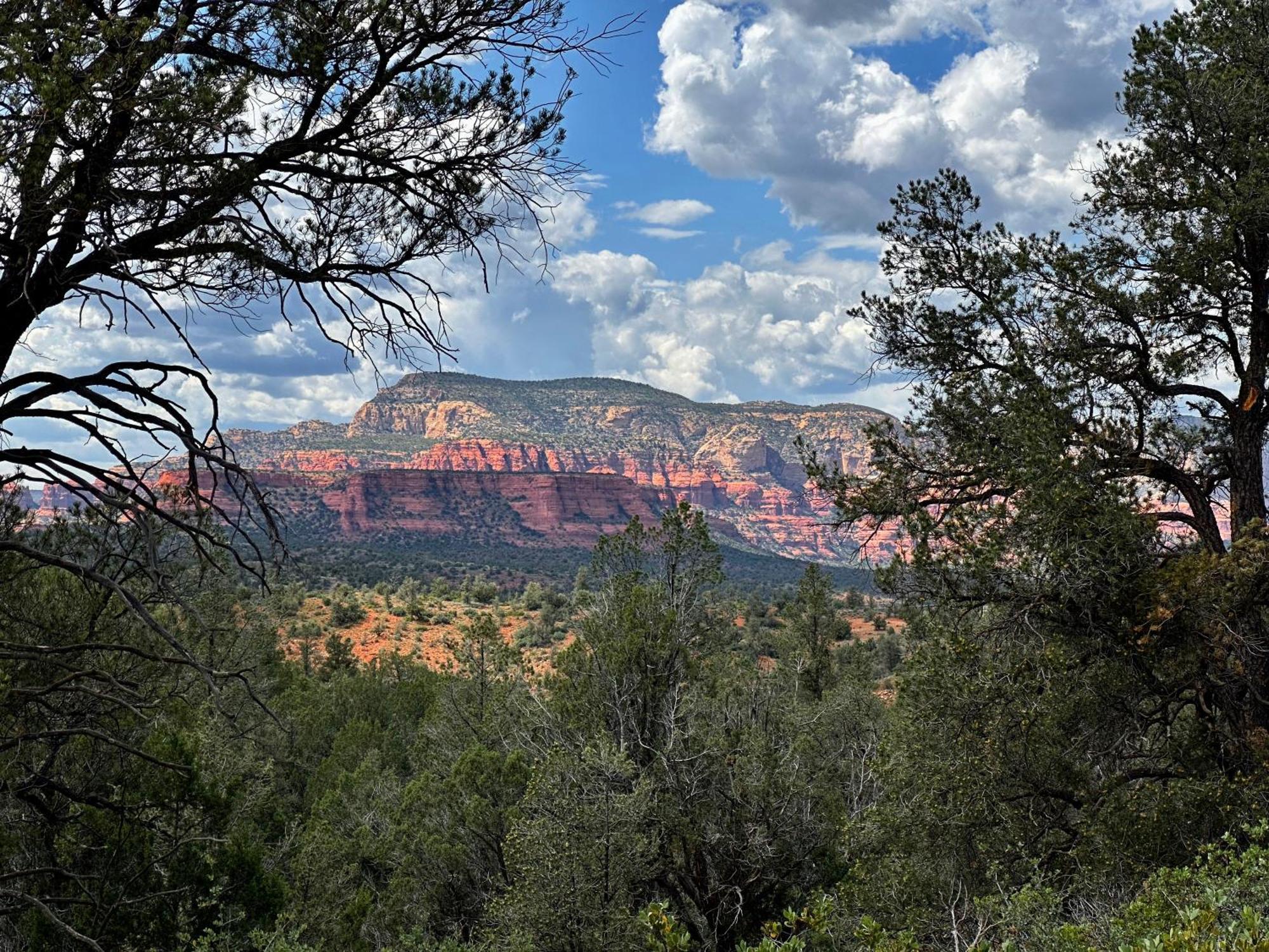 Cathedral Casita At Sedona Cathedral Hideaway Llc Villa Exteriör bild